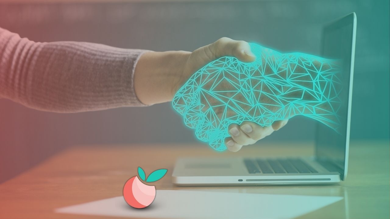 Ongoing Support & Consultation